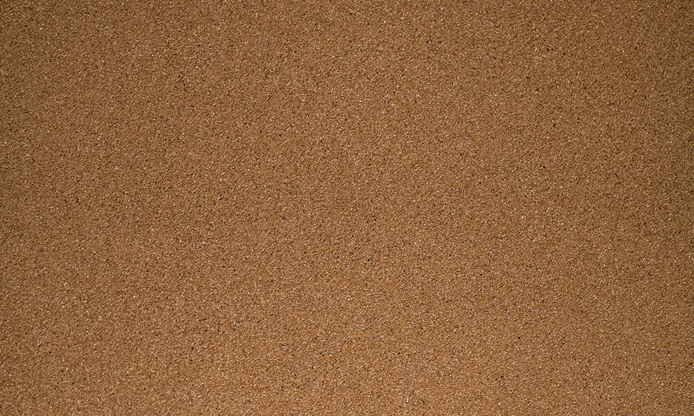 Brown DSC05179