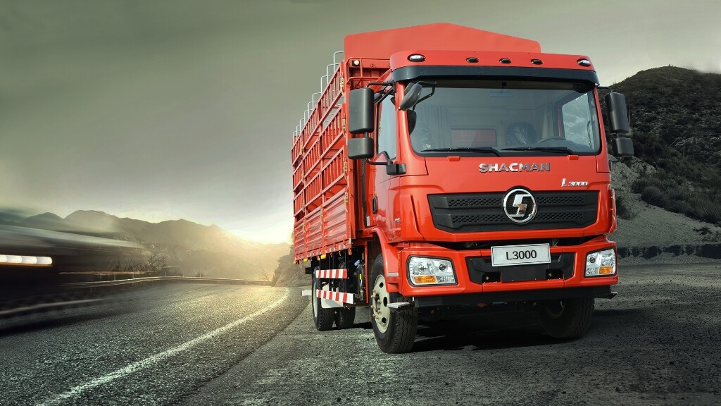 CAMION DE CARGO camion catgo.jpg