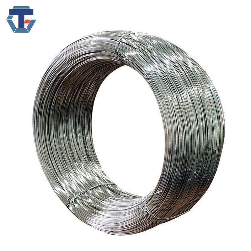 310S Stainless Steel Wire