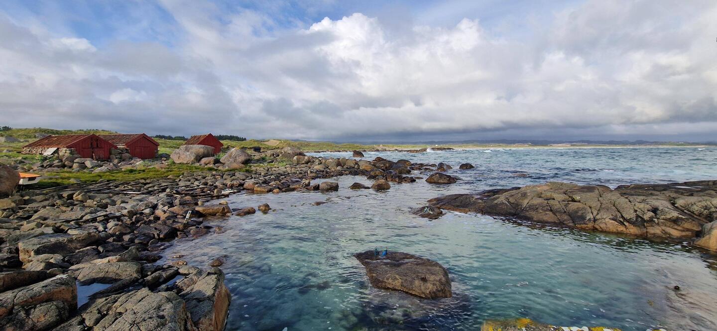 3000 kilometre road trip with map, compass and fridge