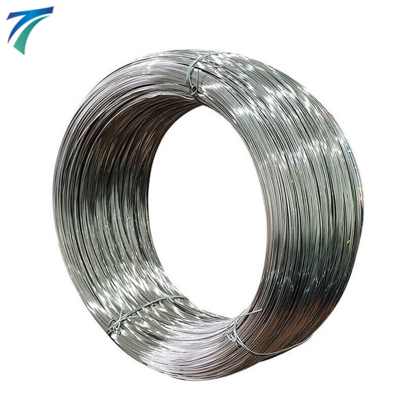 310S Stainless Steel Wire