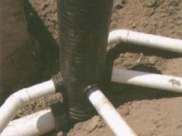 The company has always followed the 