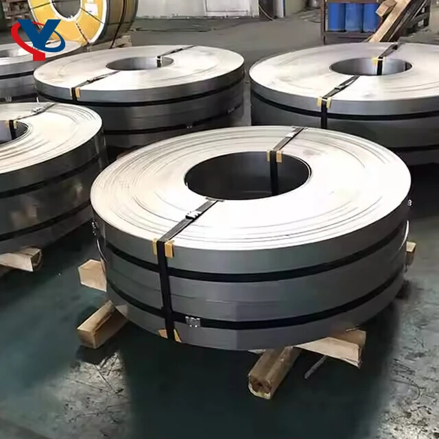 Stainless Steel Strip