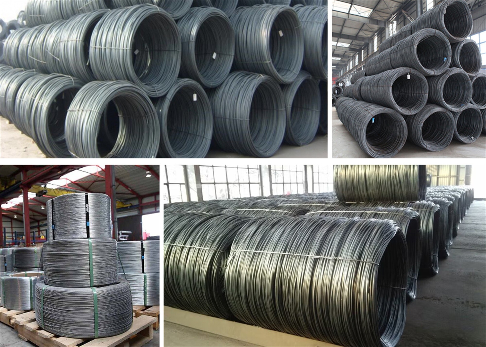 Carbon Steel Wire.jpg Carbon Steel Wire.jpg