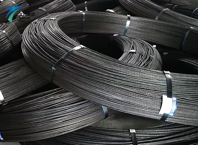 A53 Carbon Steel Wire