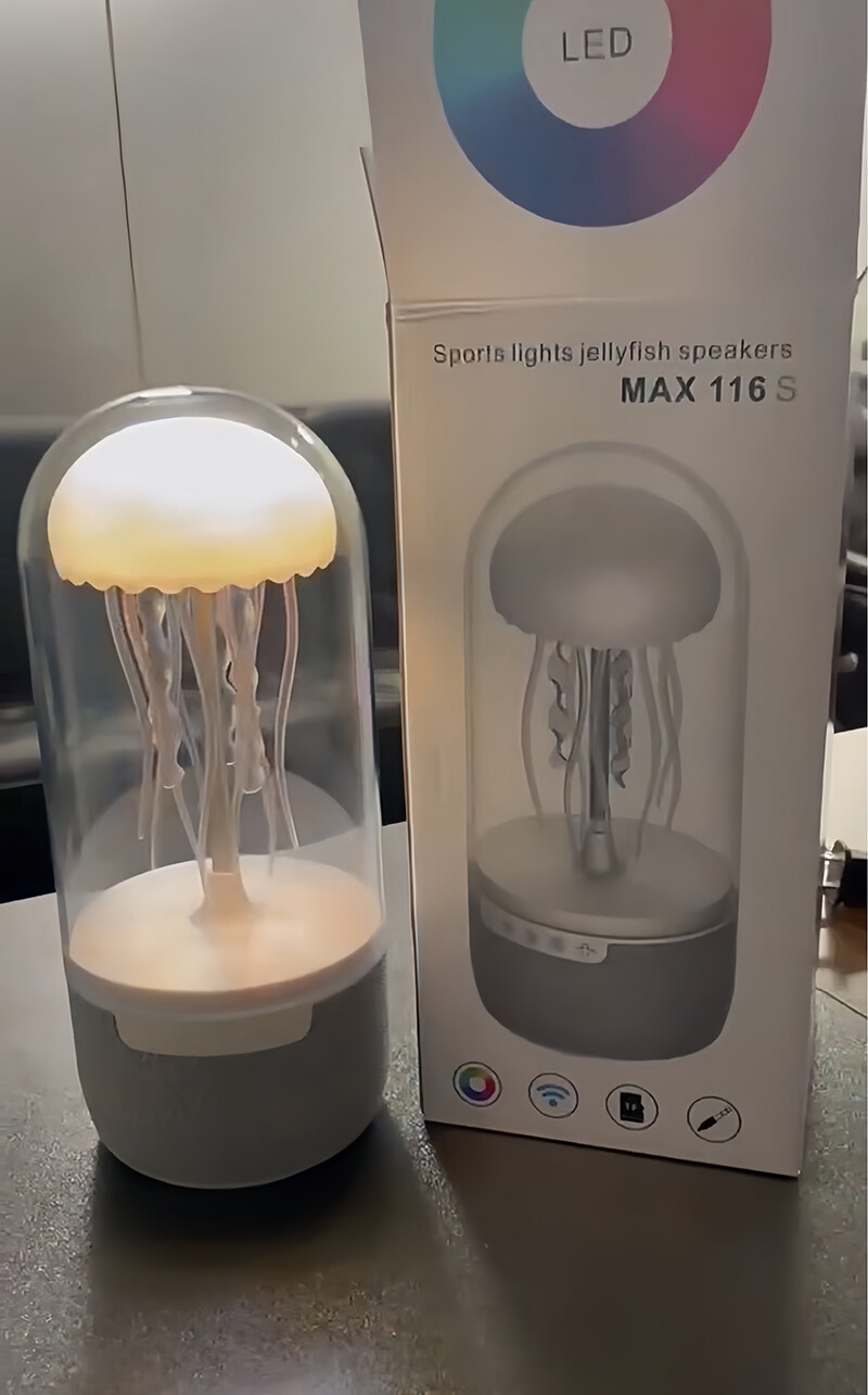 Speaker - Sound Amplifier