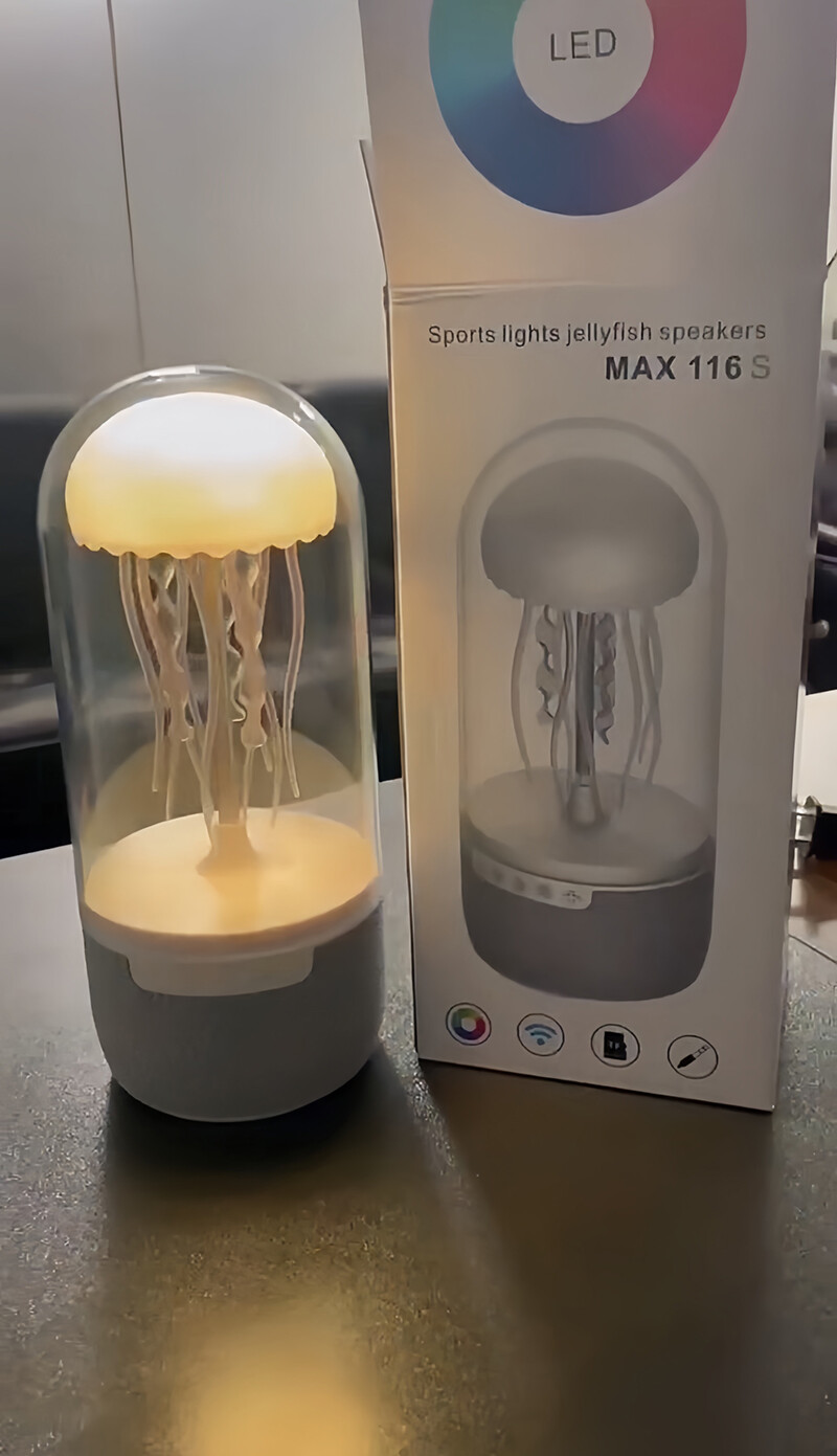 Speaker - Sound Amplifier