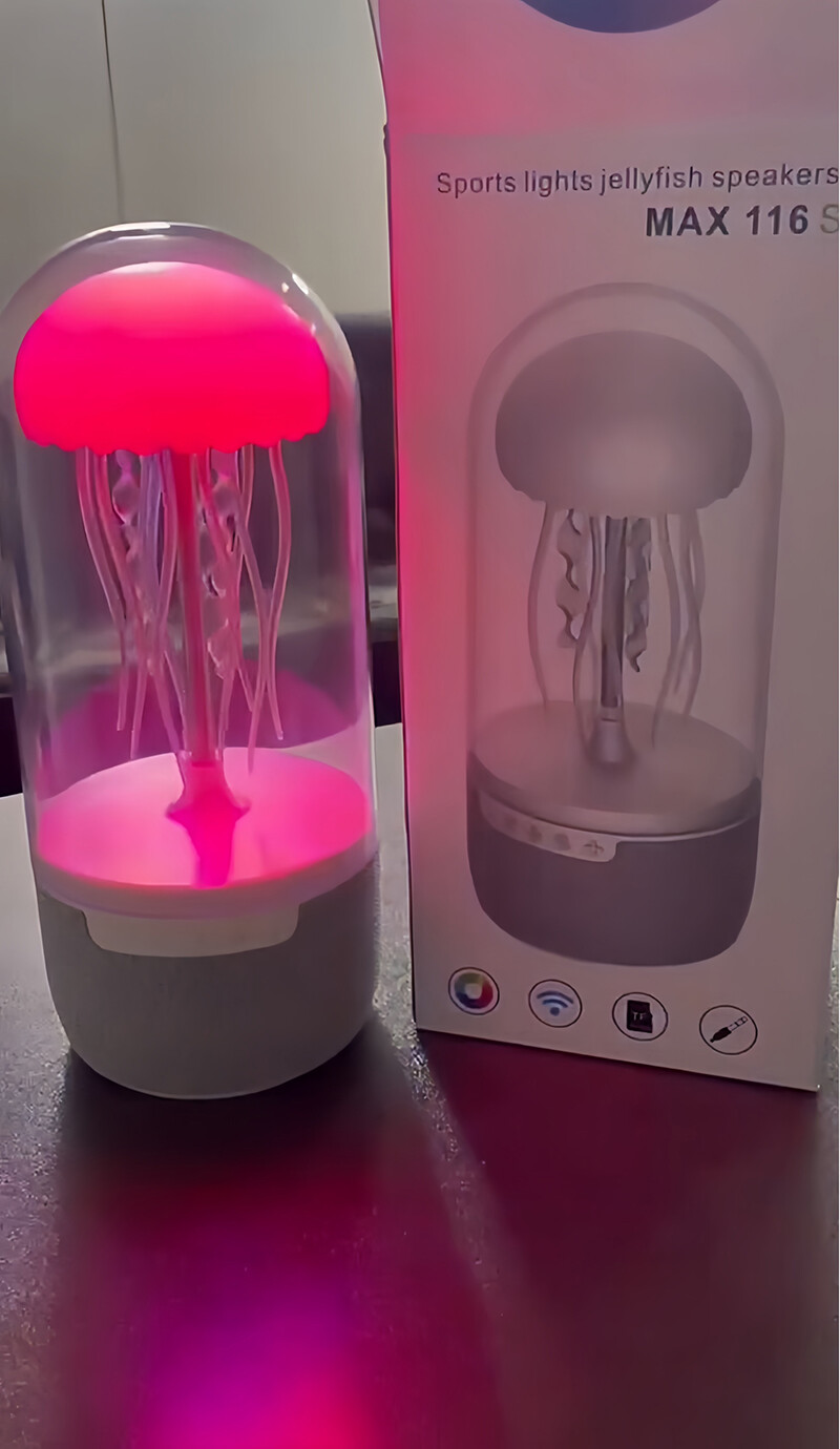 Speaker - Sound Amplifier