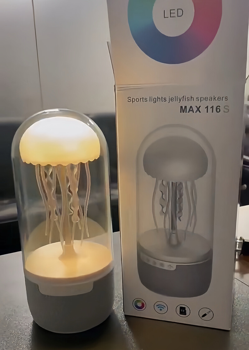 Speaker - Sound Amplifier