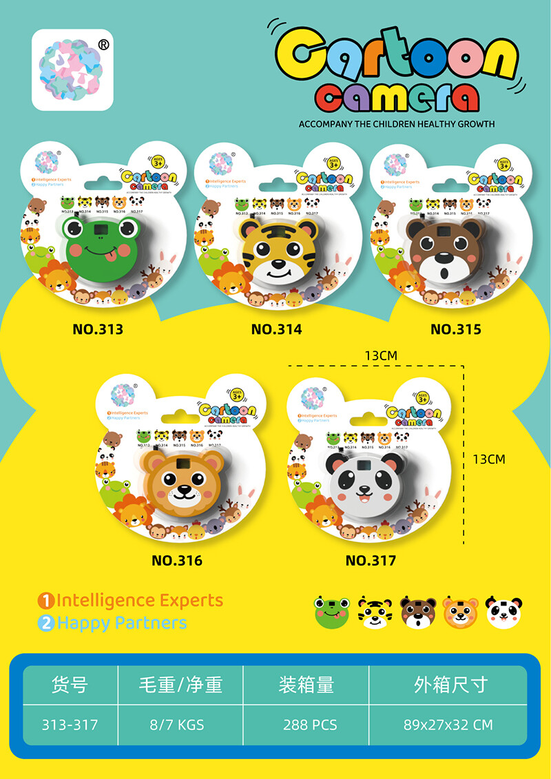 Observation Deck - Camera