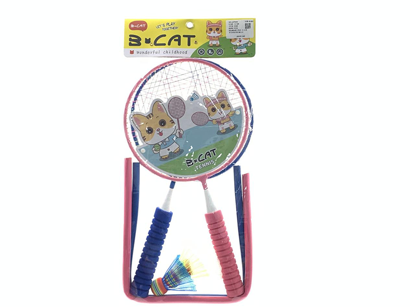 Badminton Racket with Anti-Collision Edging 3177497