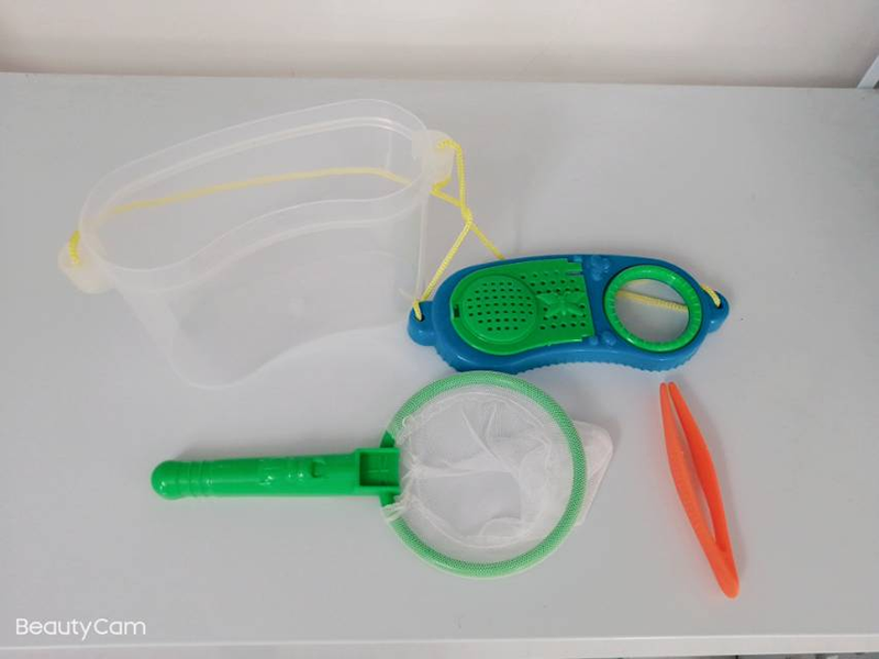 Insect Box Set 2115571