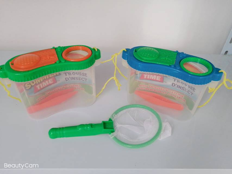 Insect Box Set 2115571