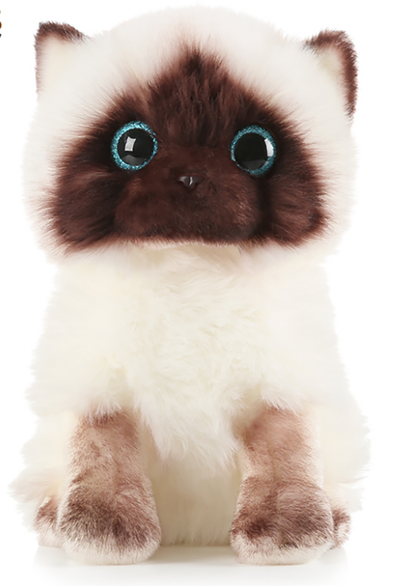 Xian Luo Cat 20BD2091