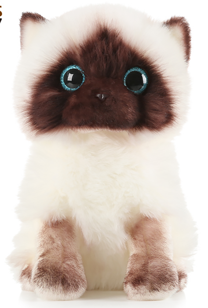 Xian Luo Cat 20BD2091