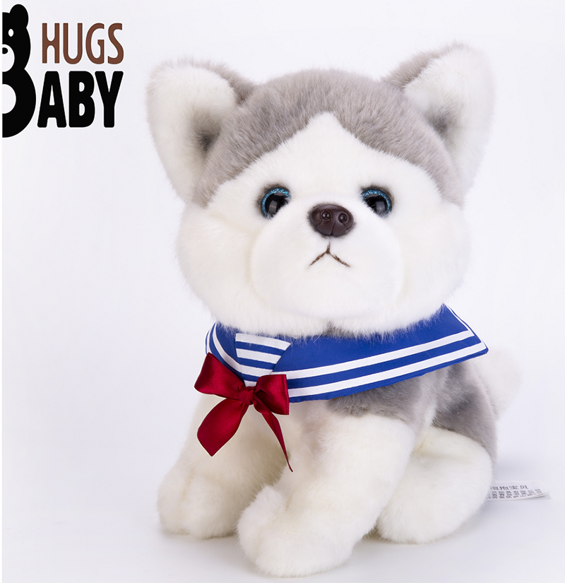 Siberian Husky 22AD2115