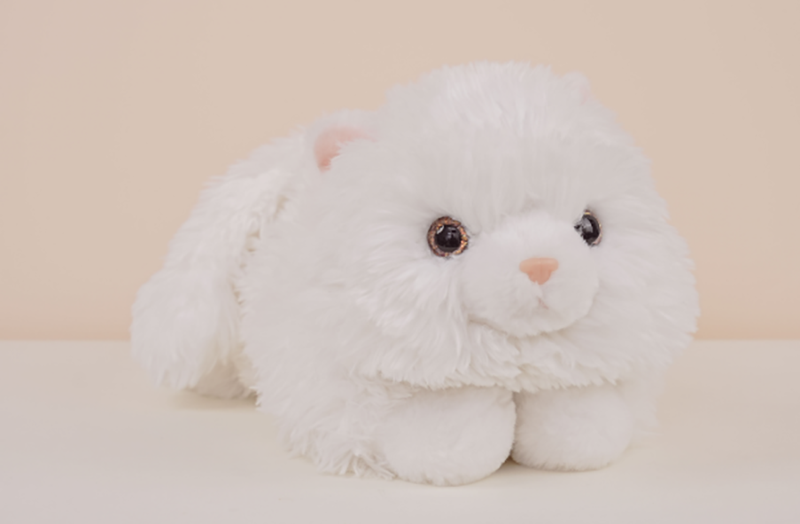 Soft Fufu Persian Cat 23BD2131