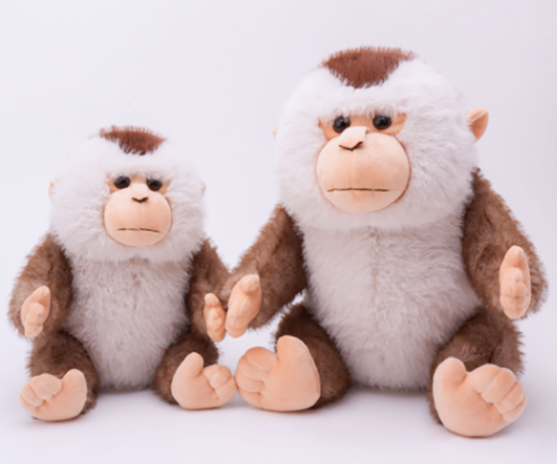 Northern Dolphin Tail Monkey 24CZ6361