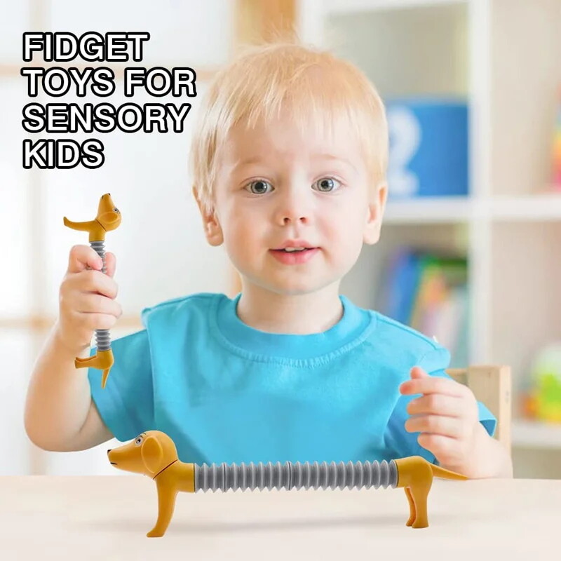 Pop tube for kids sensory spring stretch dog 2 pack flexible sound fidget toys