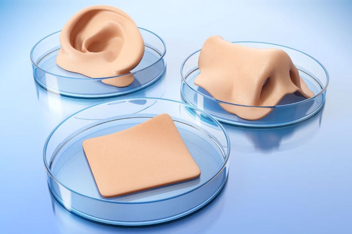 Artificial Skin Artificial Skin