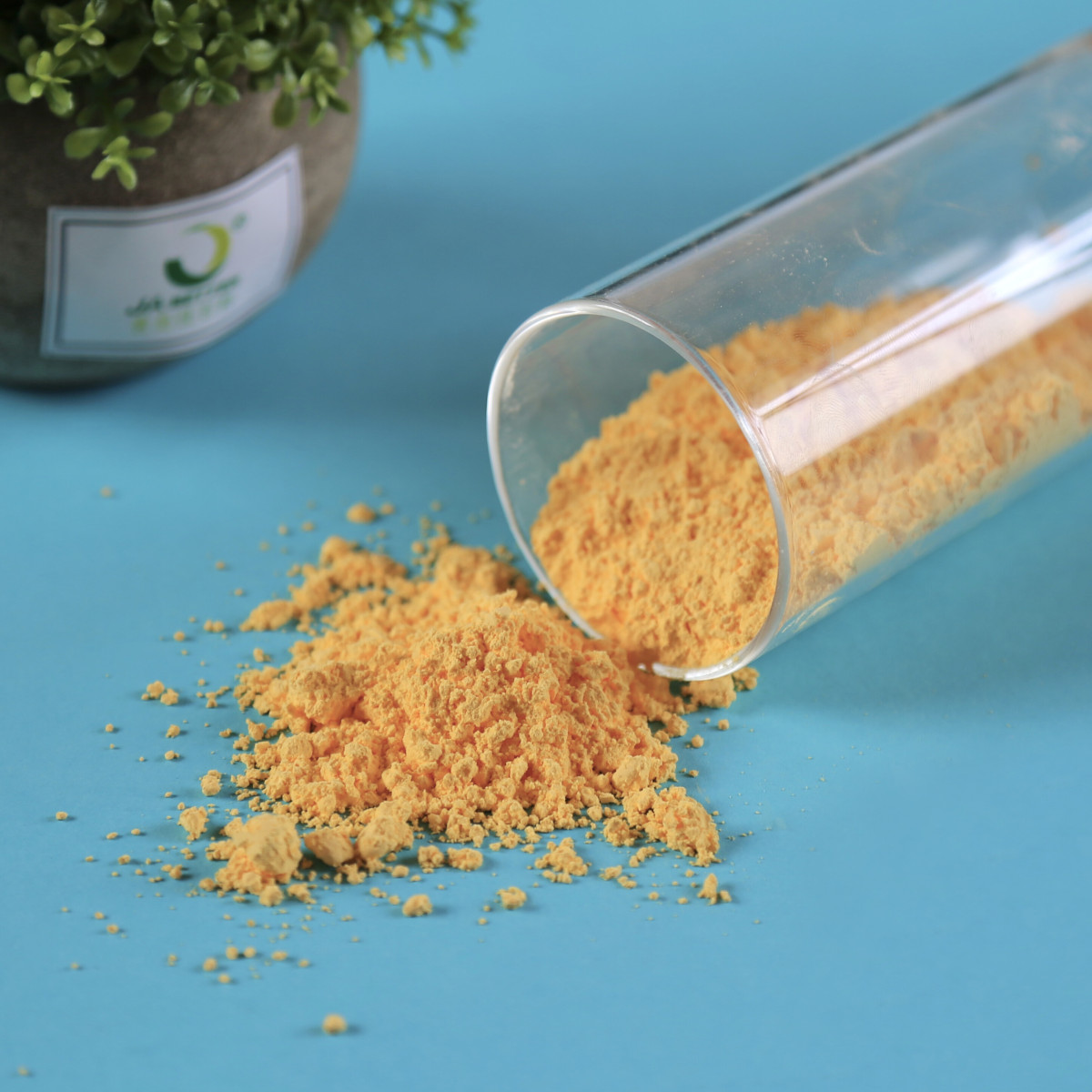 1733982530725709089839169536.jpg JN-804.jpg