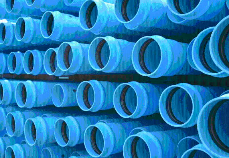 Qingdao Jabetter: The 