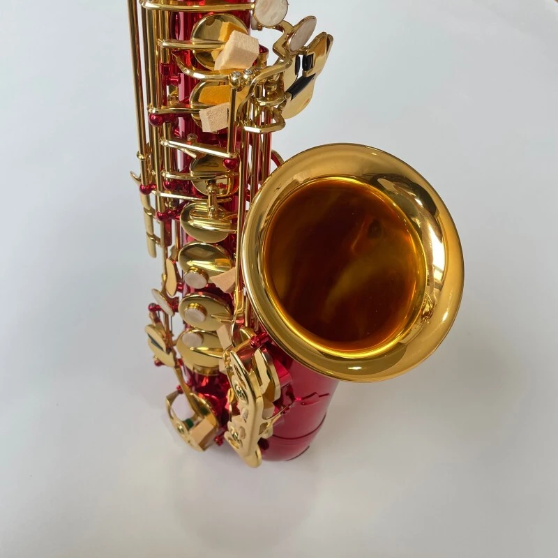 Saxophone alto professionnel de qualité générale avec clé de sol rouge et matériau en laiton