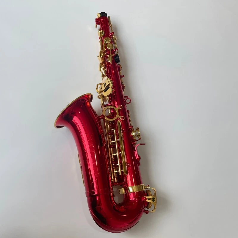 Saxophone alto professionnel de qualité générale avec clé de sol rouge et matériau en laiton