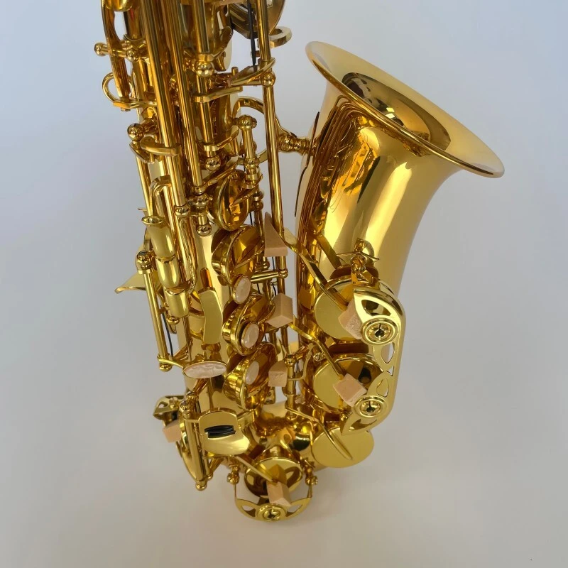 Saxophone Alto Couleur Or Clé Mib Laiton Laqué Saxophone
