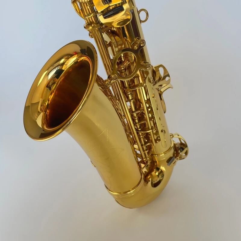 Saxophone Alto Couleur Or Clé Mib Laiton Laqué Saxophone