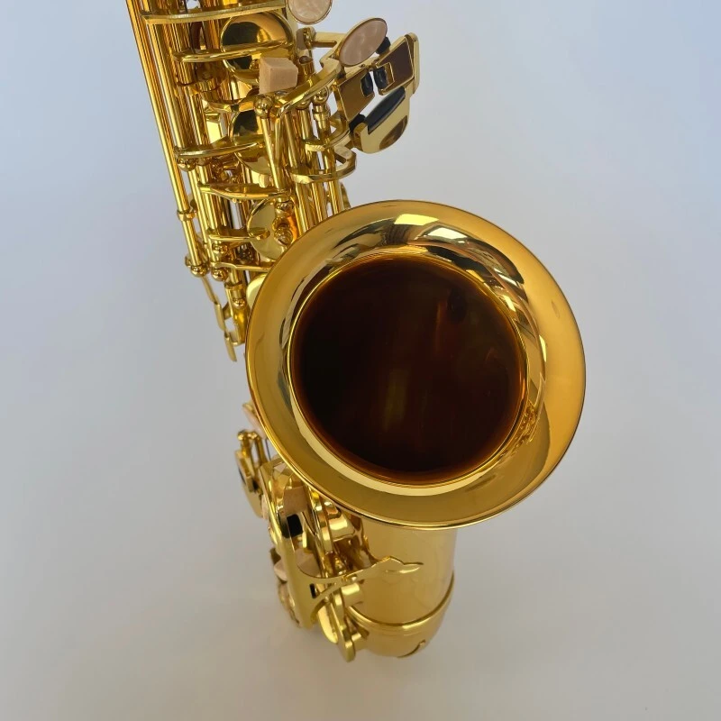 Saxophone Alto Couleur Or Clé Mib Laiton Laqué Saxophone