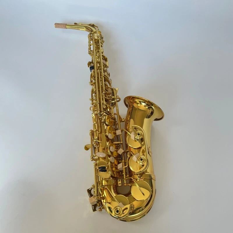 Saxophone Alto Couleur Or Clé Mib Laiton Laqué Saxophone