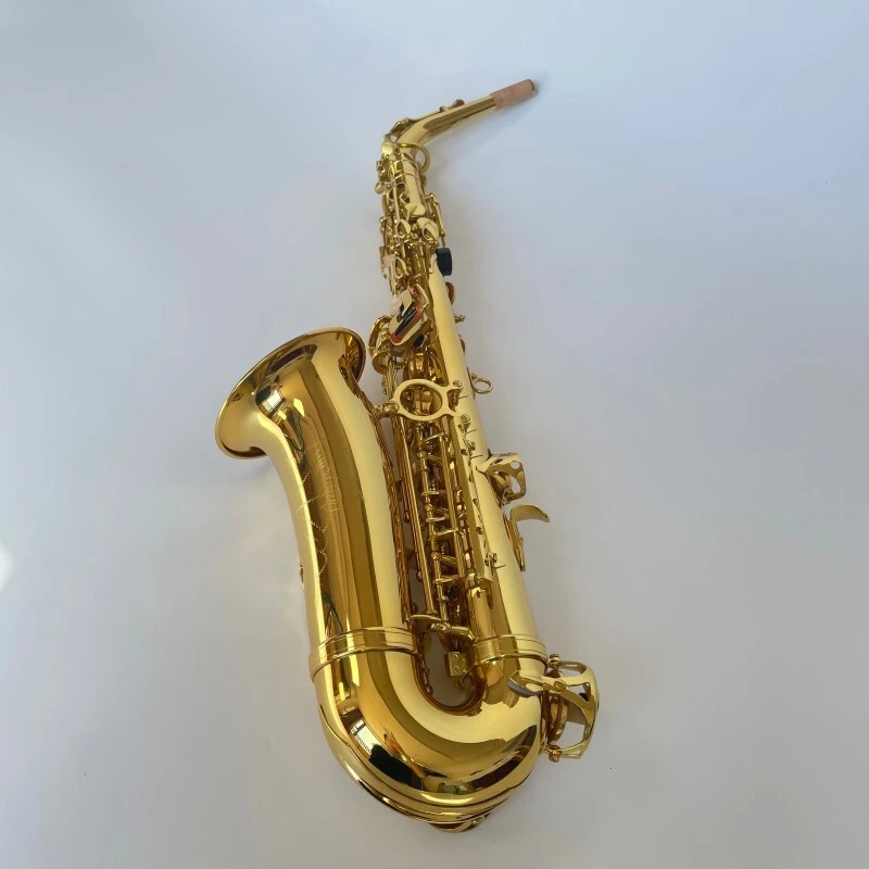 Saxophone Alto Couleur Or Clé Mib Laiton Laqué Saxophone