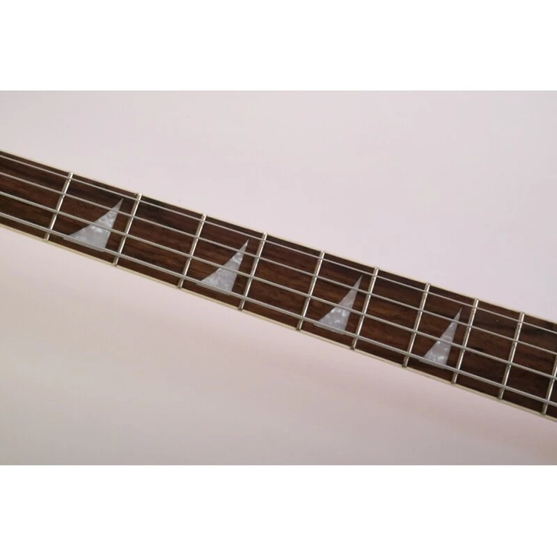 Afanti Semi-Hollow Light Basswood Body Rick Electric Bass Guitar