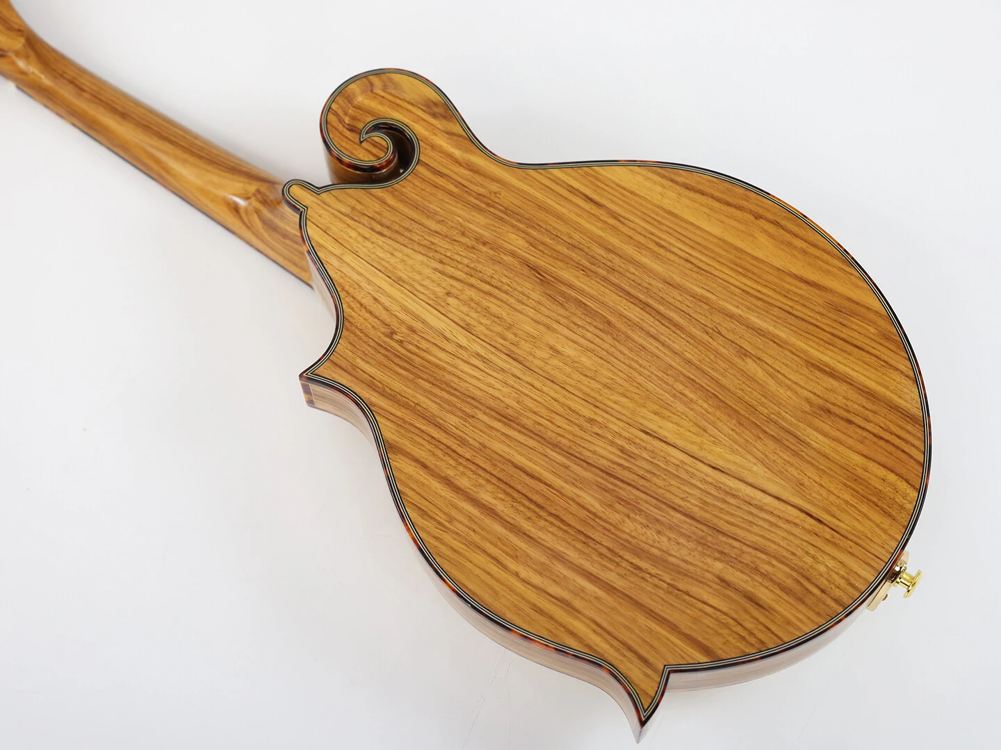 Afanti AAA Mandoline en bois de zèbre massif sculpté à la main (dos et éclisses)