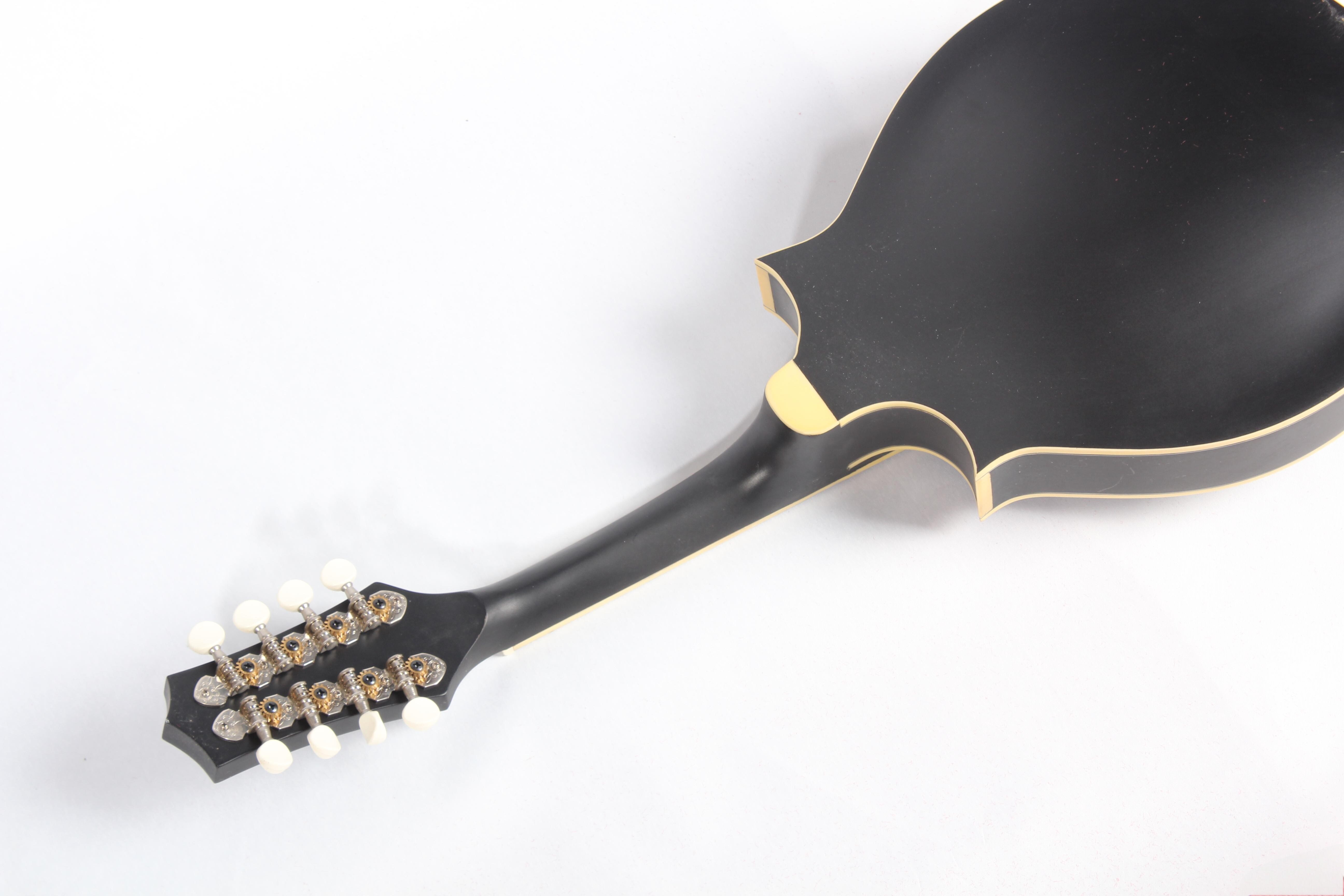 Afanti Maple Back and Side Pau Ferro Fingerboard Oval Hole F Mandolin