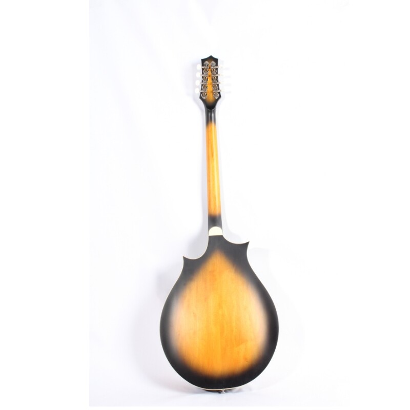 Afanti Maple Back and Side Rosewood Fingerboard Oval Hole F Mandolin