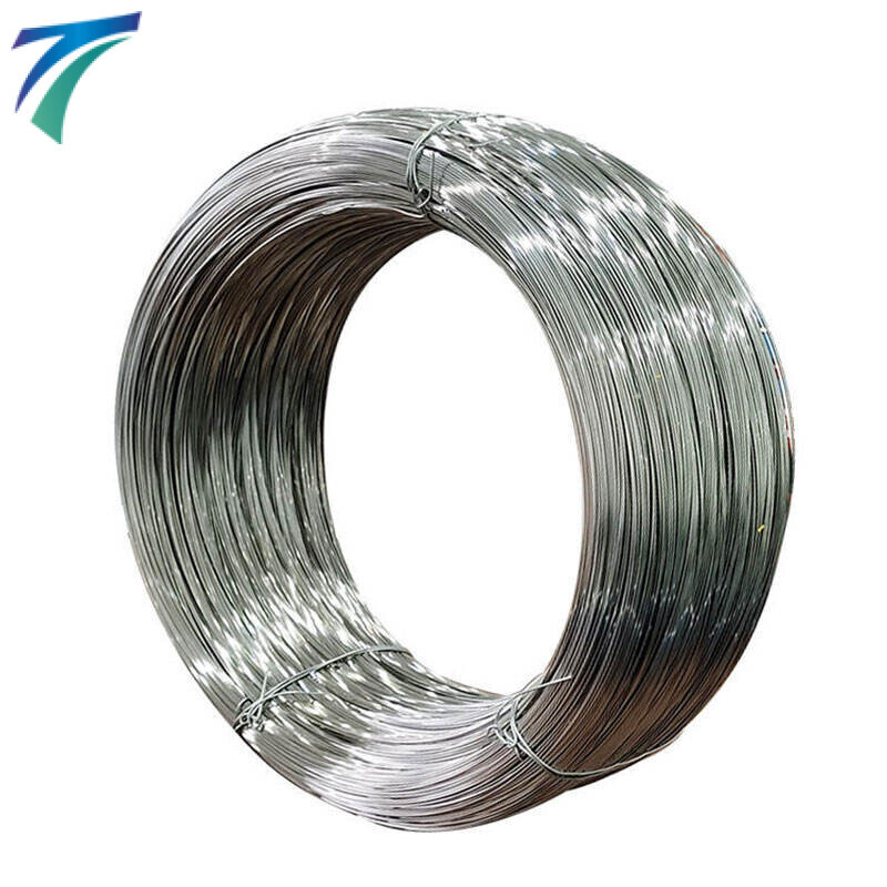 310S Stainless Steel Wire