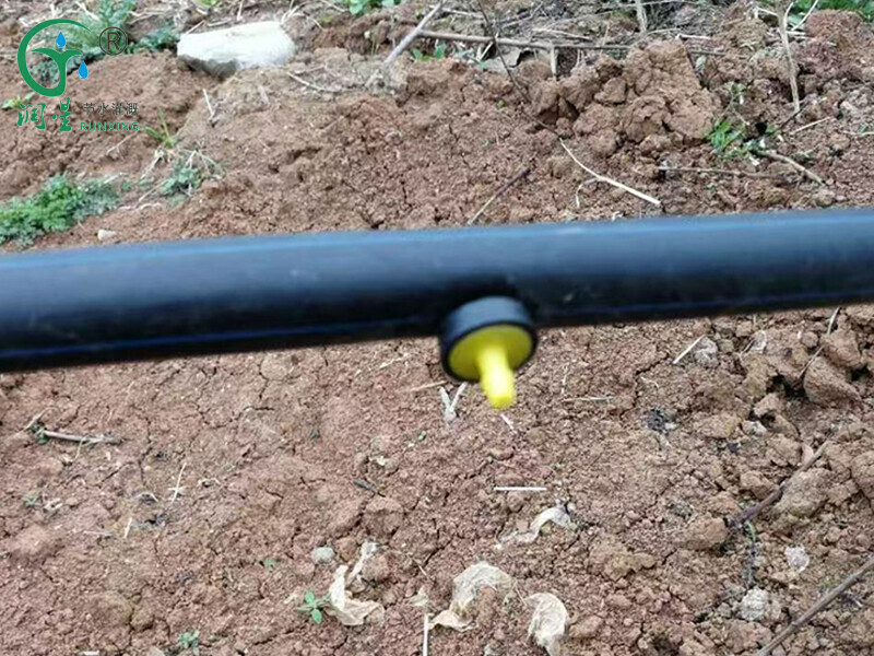 Irrigation de Yongquan