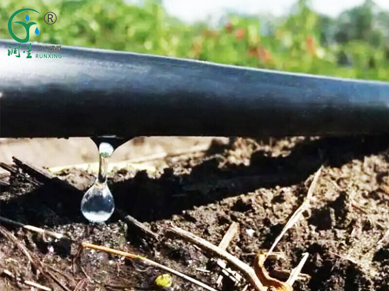 Tuyau d'irrigation goutte à goutte de haute qualité
