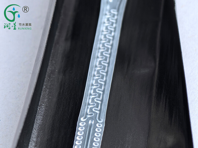 Ruban d'irrigation goutte à goutte continu