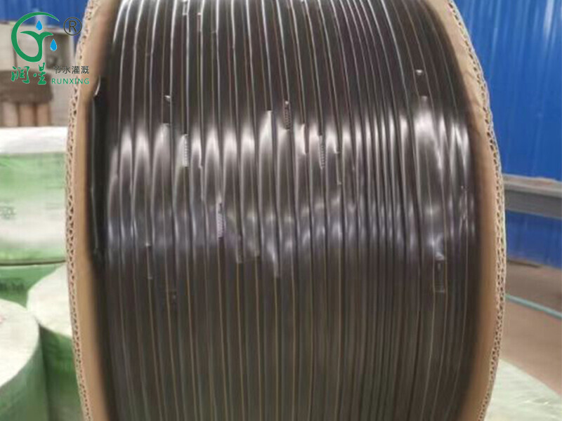 Ruban d'irrigation goutte à goutte continu