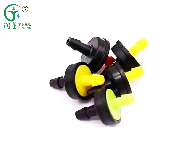 Irrigation de Yongquan