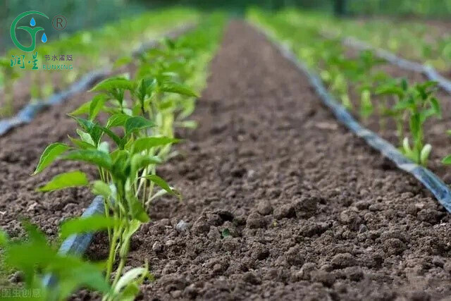 Bande d'égouttage agricole en gros