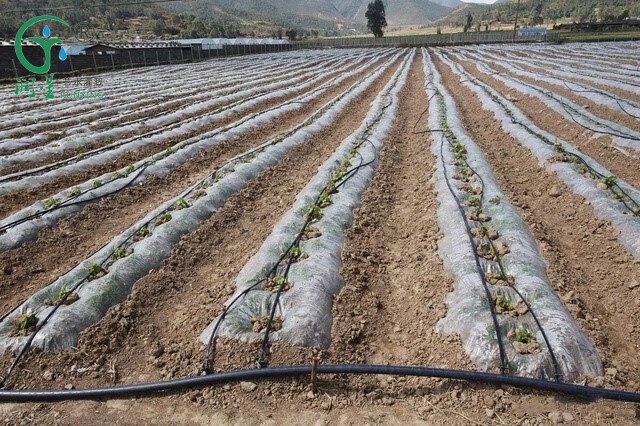 Bande d'égouttage agricole en gros