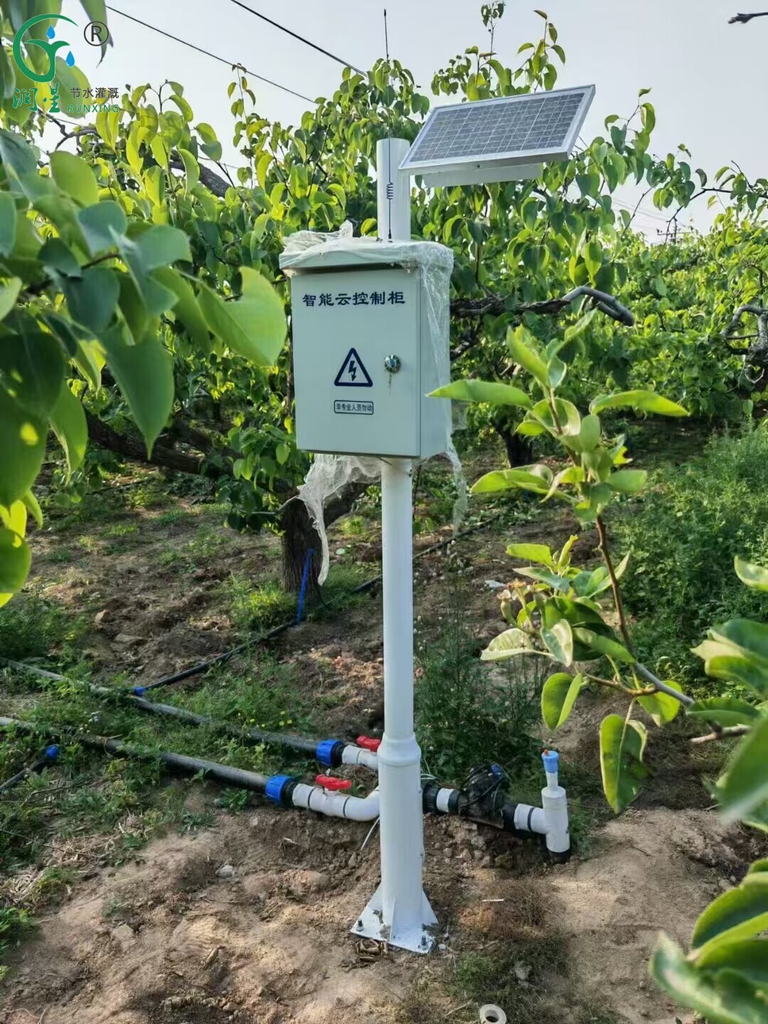 Lampe insecticide IoT