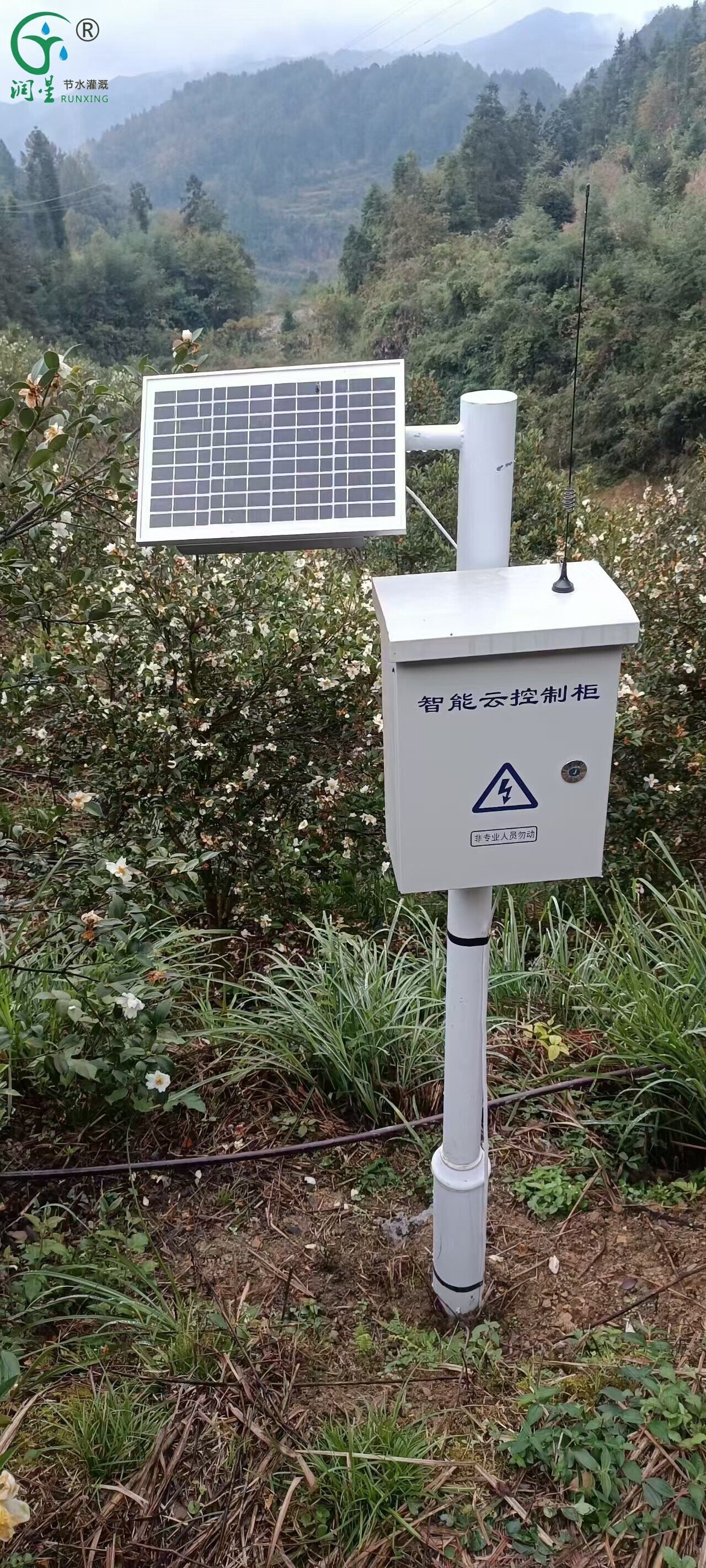 Lampe insecticide IoT