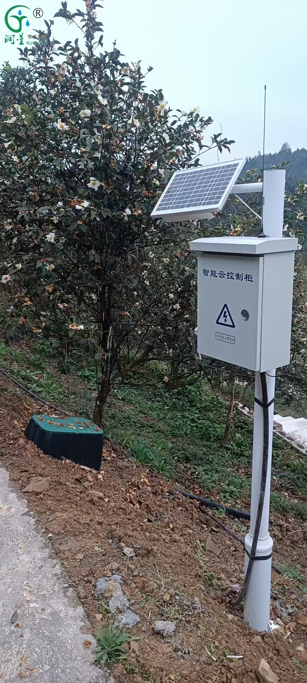 Lampe insecticide IoT