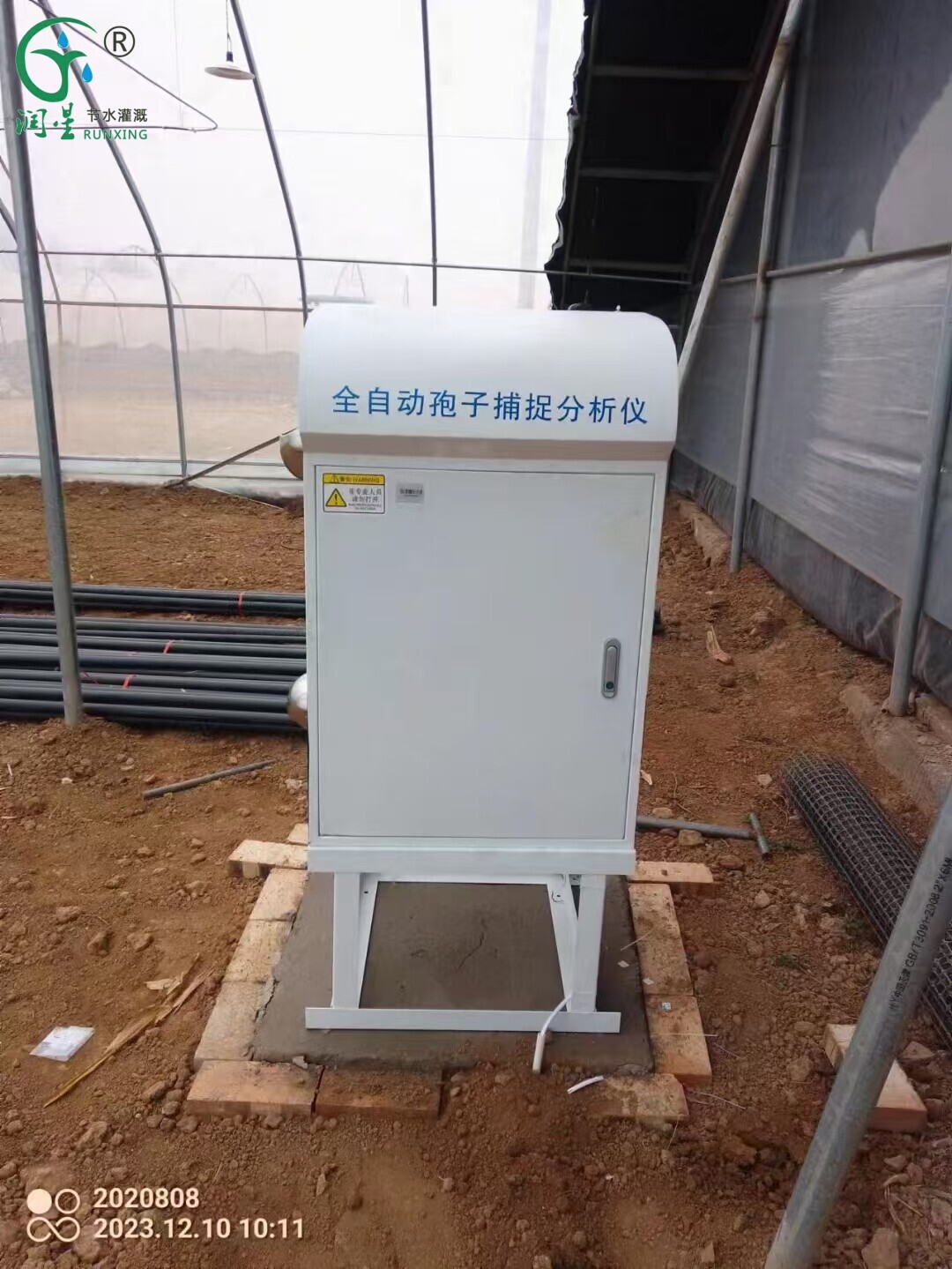 孢子1.jpg 孢子1.jpg