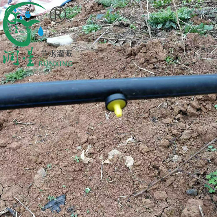 Tuyau d'irrigation goutte à goutte à compensation de pression souterraine